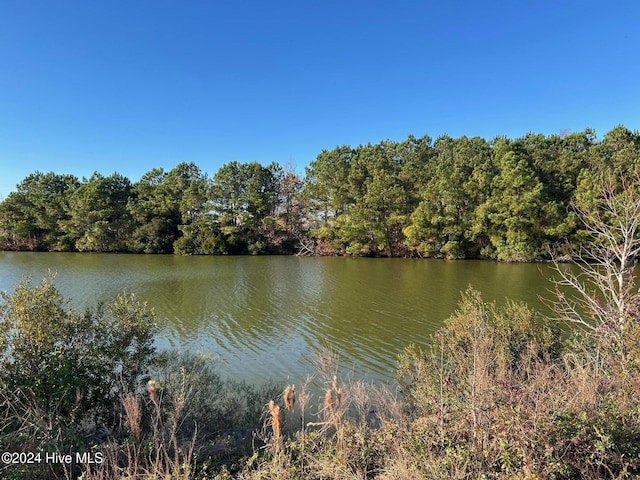 LOT8 Blue Heron Blvd Unit 8, New Hope, NC 27944