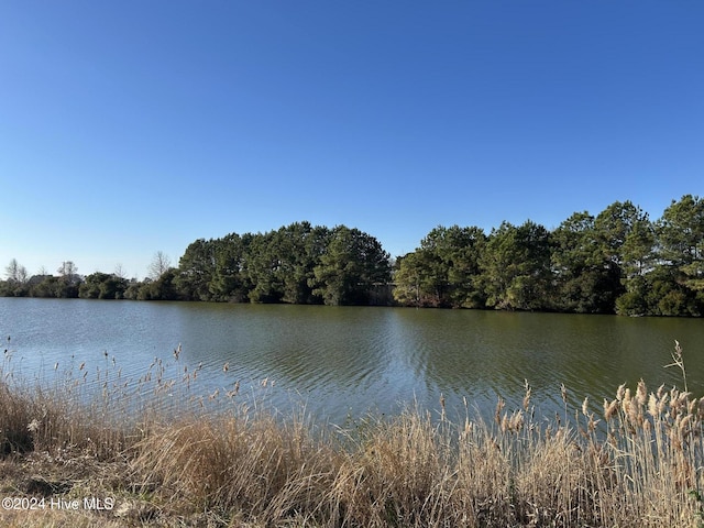 LOT8 Blue Heron Blvd Unit 8, New Hope, NC 27944