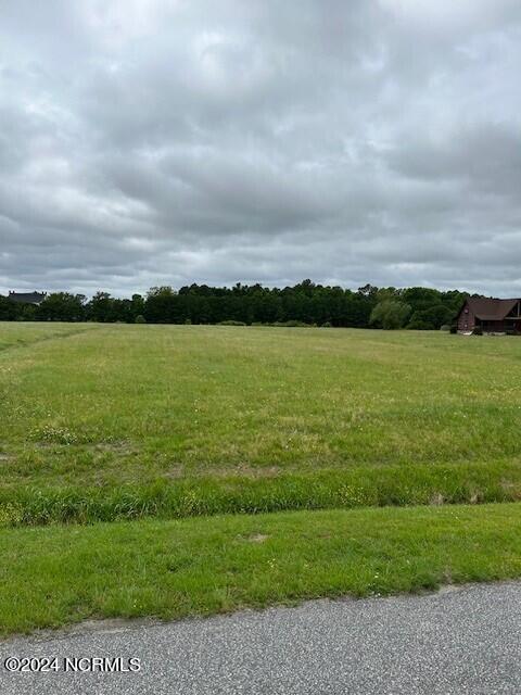 LOT8 Blue Heron Blvd Unit 8, New Hope, NC 27944