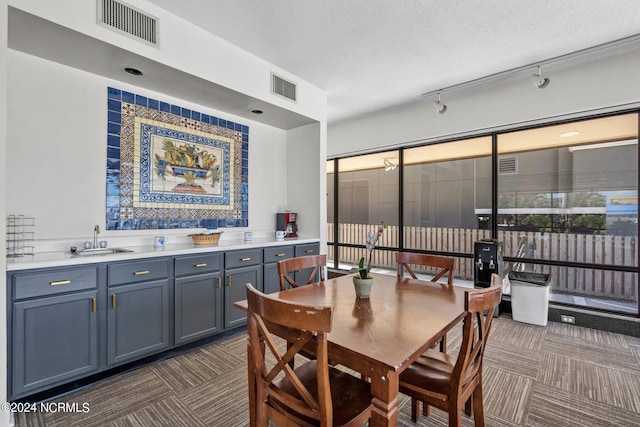 carpeted dining room featuring sink, a textured ceiling, and track lighting