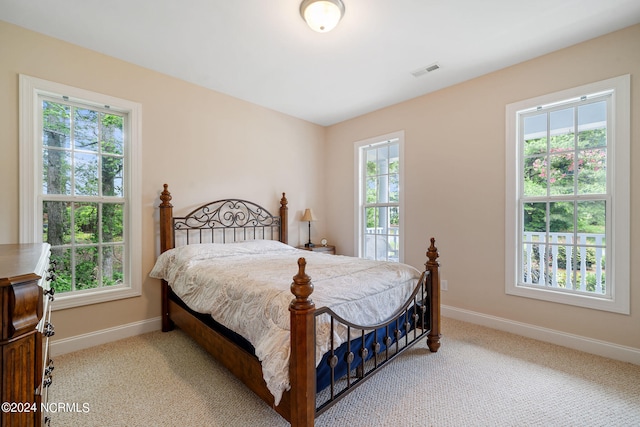 bedroom featuring multiple windows and light colored carpet