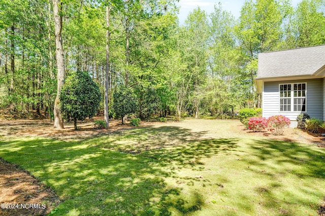 227 October Glory Dr, Wallace, NC 28466 - view of grassy yard
