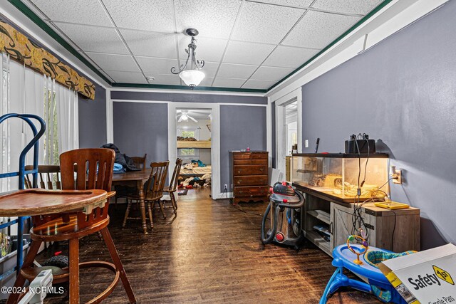 dining room with dark wood-type flooring and a drop ceiling