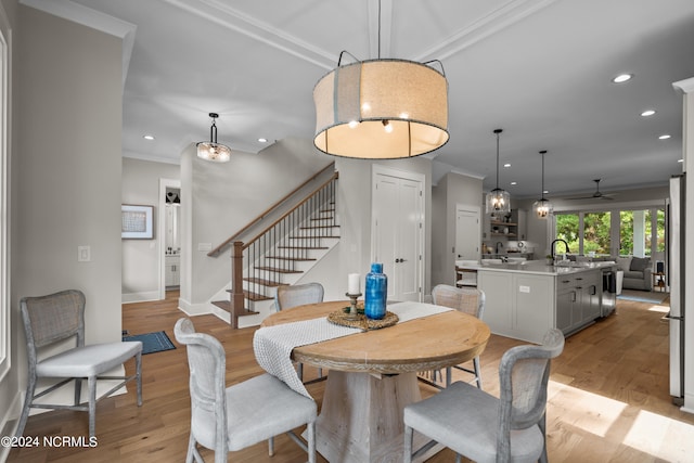 dining room with ceiling fan, crown molding, sink, and light wood-type flooring