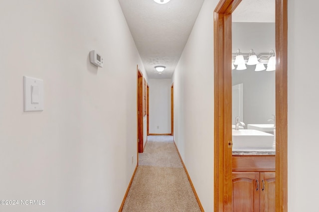 corridor with sink, a textured ceiling, and light colored carpet