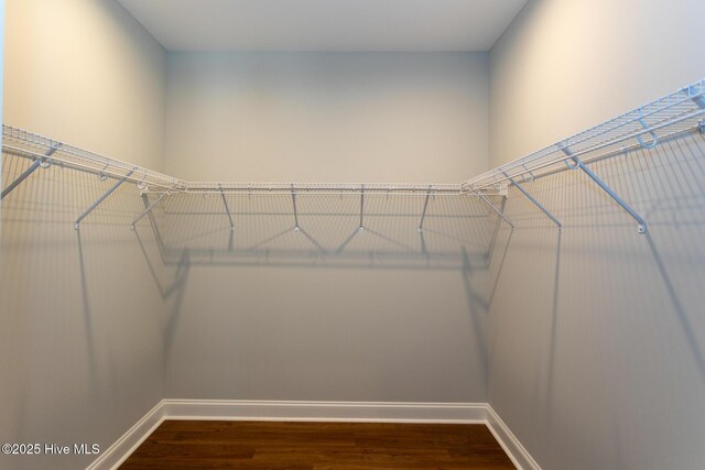 spacious closet featuring dark hardwood / wood-style flooring