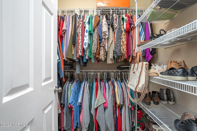 view of spacious closet