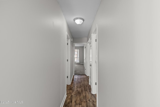 hall featuring dark hardwood / wood-style floors