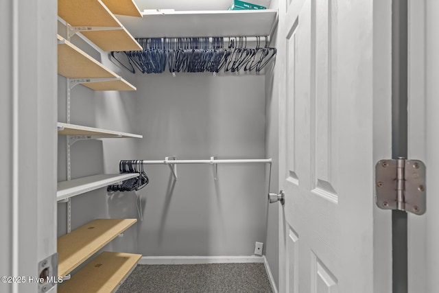 walk in closet featuring carpet