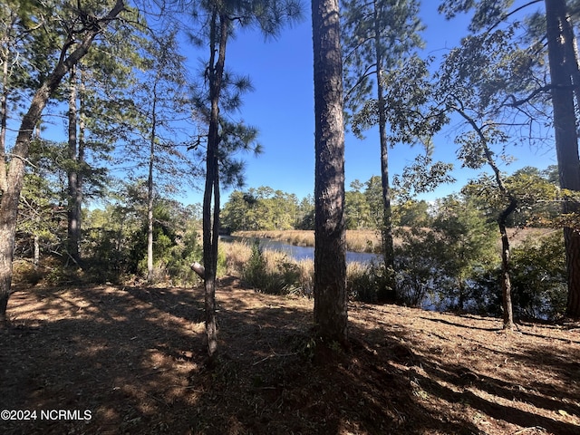 309 Jo Jane Rd, Oriental NC, 28571 land for sale