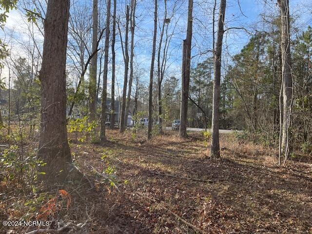 109 Barry Ln, Jacksonville NC, 28540 land for sale