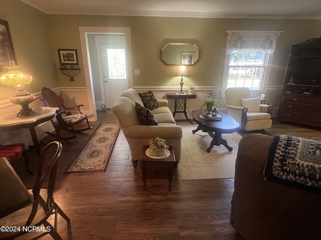 living area featuring dark wood-type flooring and ornamental molding