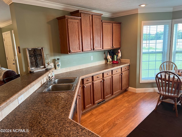 kitchen featuring sink, light hardwood / wood-style flooring, and crown molding