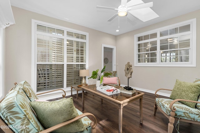 office with hardwood / wood-style floors, a skylight, and ceiling fan