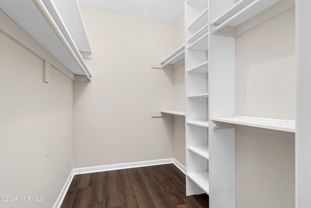 spacious closet with dark hardwood / wood-style floors