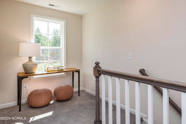 view of carpeted home office