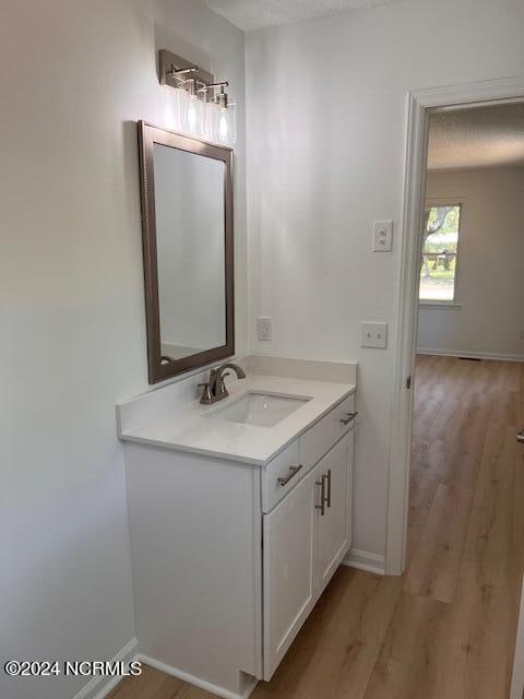 bathroom with wood-type flooring and large vanity