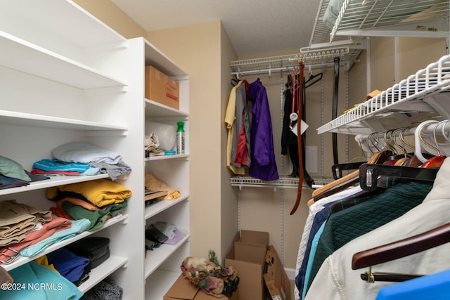 view of spacious closet