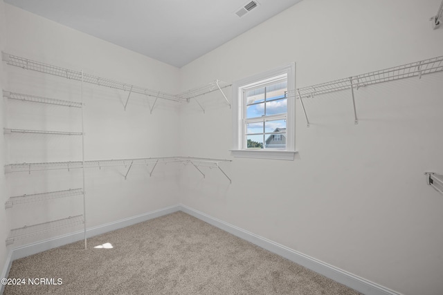 walk in closet with carpet flooring