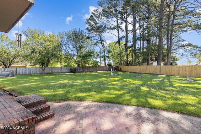 view of yard featuring a patio