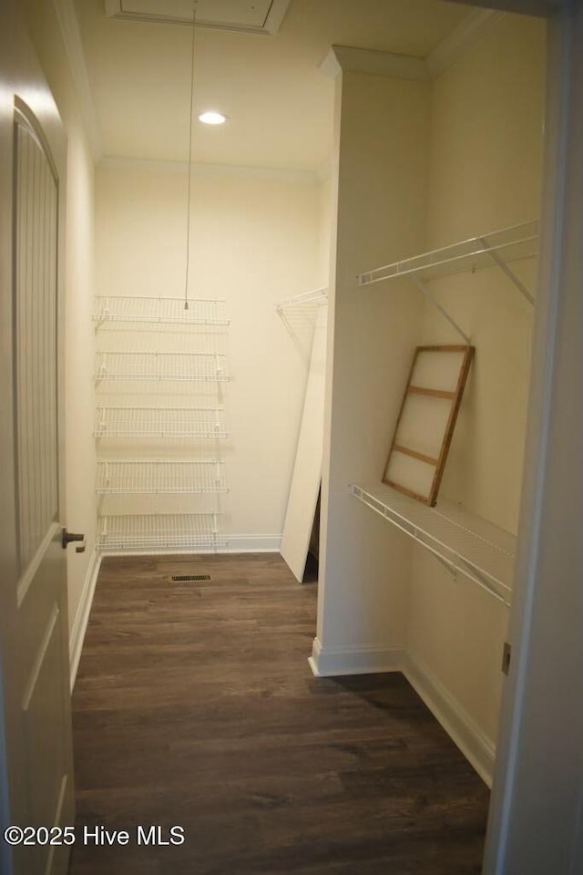 spacious closet with dark wood-type flooring