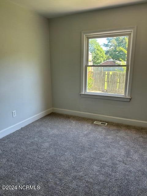 empty room with a healthy amount of sunlight and carpet floors