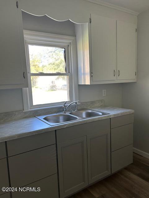 kitchen featuring light countertops, dark wood-type flooring, a sink, and white cabinetry