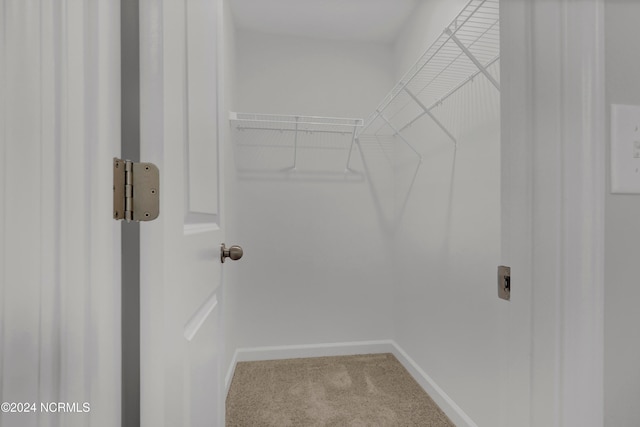 spacious closet with carpet flooring