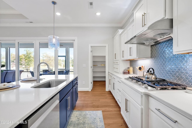 kitchen with light countertops, appliances with stainless steel finishes, a sink, and blue cabinetry