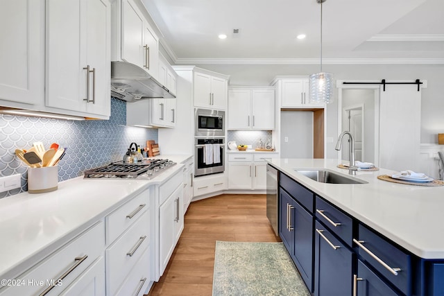 kitchen with white cabinetry, blue cabinetry, under cabinet range hood, stainless steel appliances, and a sink
