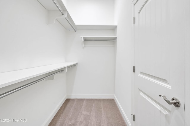 walk in closet with light carpet