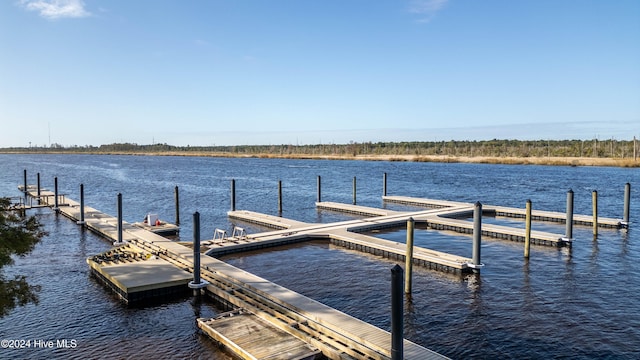 dock area featuring a water view