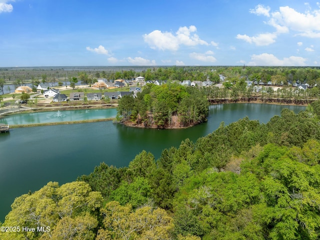 birds eye view of property with a forest view and a water view