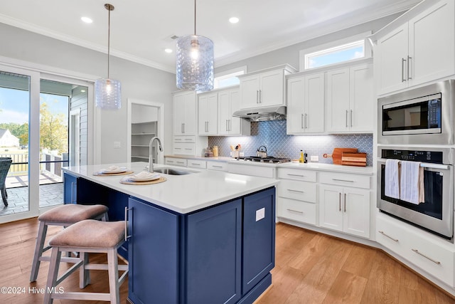 kitchen with ornamental molding, light wood-style flooring, under cabinet range hood, appliances with stainless steel finishes, and a sink