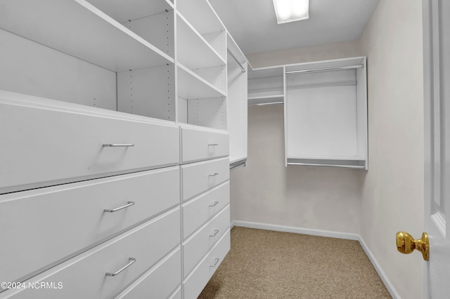 walk in closet with light carpet