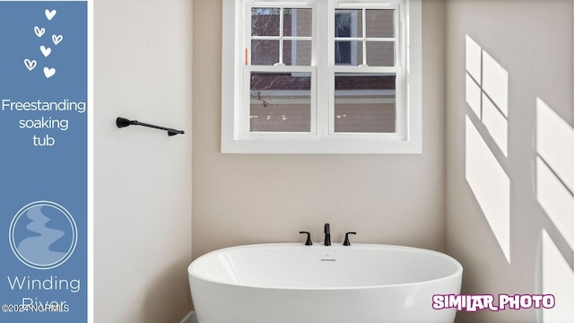 bathroom featuring a washtub