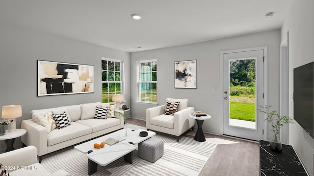 living room with wood-type flooring