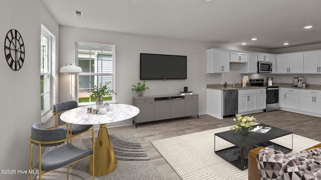 living room with wood-type flooring and sink