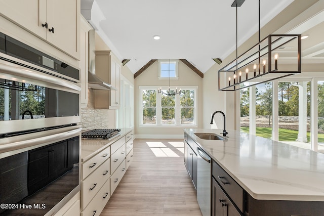 kitchen featuring stainless steel appliances, a wealth of natural light, lofted ceiling, and a center island with sink