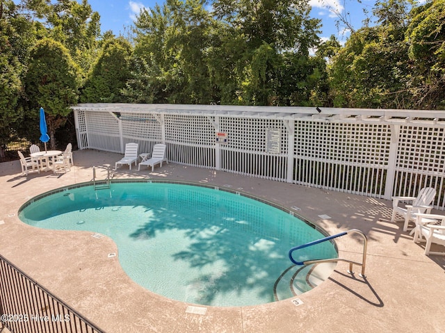 view of pool featuring a patio area