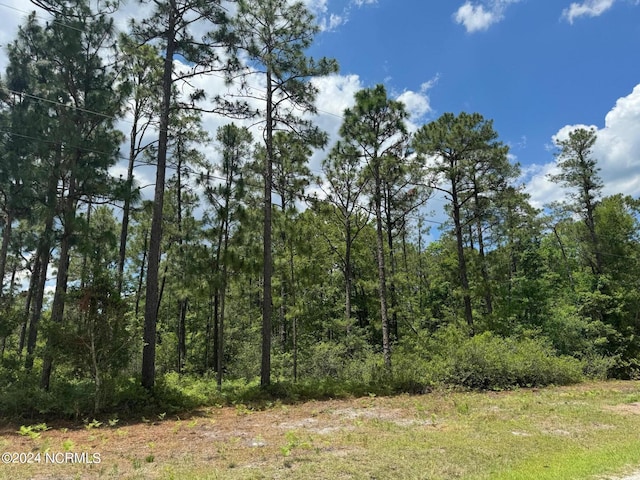 LOT4 Maple Rd, Southport NC, 28461 land for sale