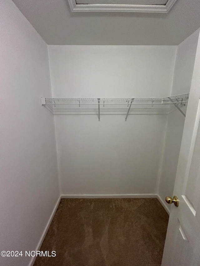 walk in closet with dark carpet