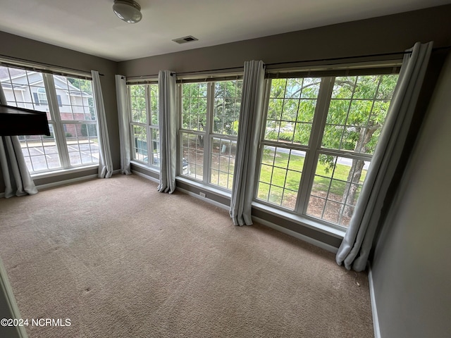 spare room with a wealth of natural light and carpet floors