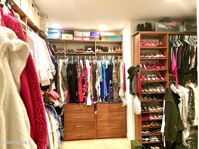 walk in closet featuring light colored carpet