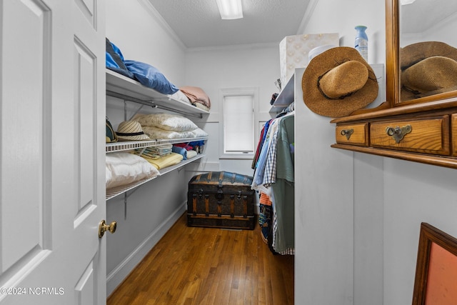 spacious closet featuring dark wood-type flooring