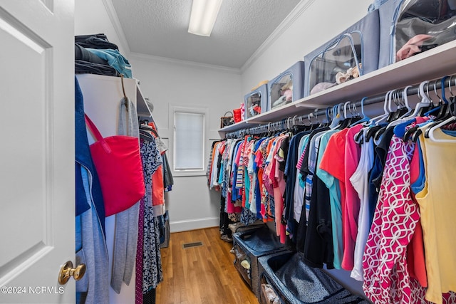 spacious closet with hardwood / wood-style flooring