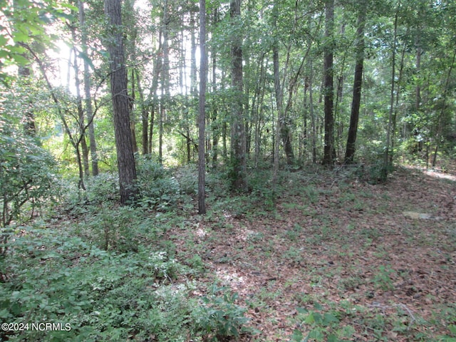 581 Woodie Ct SW, Supply NC, 28462 land for sale