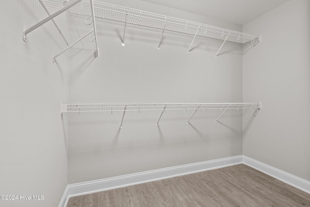 spacious closet featuring hardwood / wood-style floors