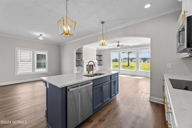 kitchen with dark hardwood / wood-style floors, ceiling fan with notable chandelier, appliances with stainless steel finishes, sink, and plenty of natural light