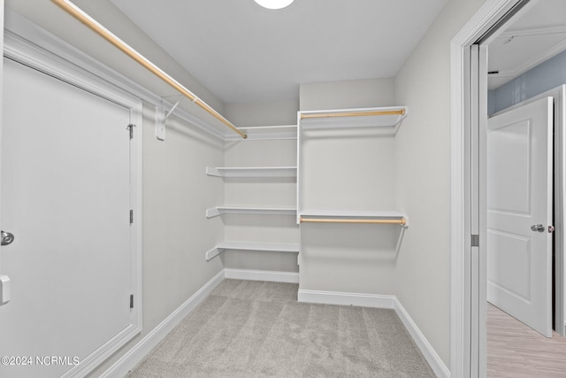 walk in closet featuring light carpet